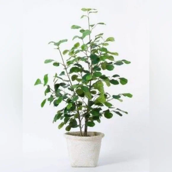 NWT Faux Ficus Tree - Threshold designed with Studio McGee - Picture 1 of 12